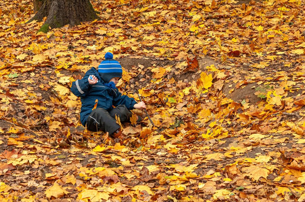 Photograph by Vladimir  Komarov