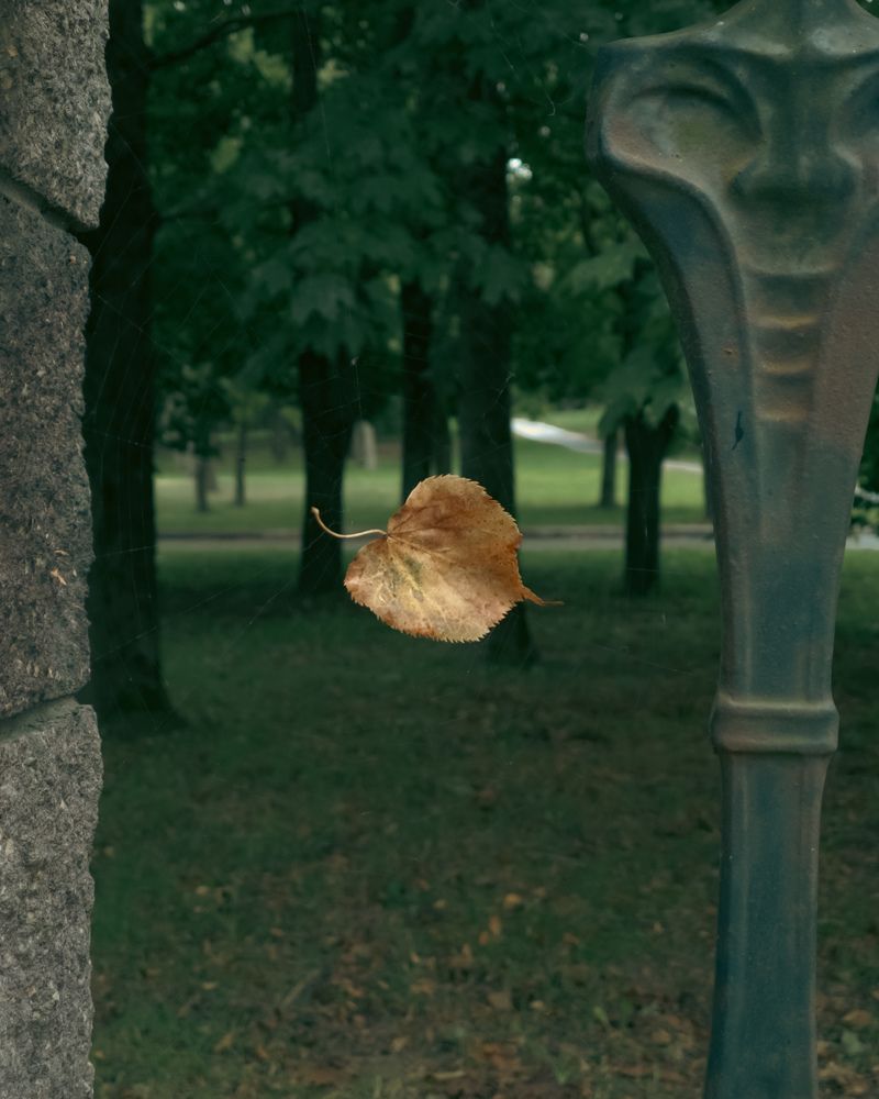 Photograph by Uladzimir Hvozd