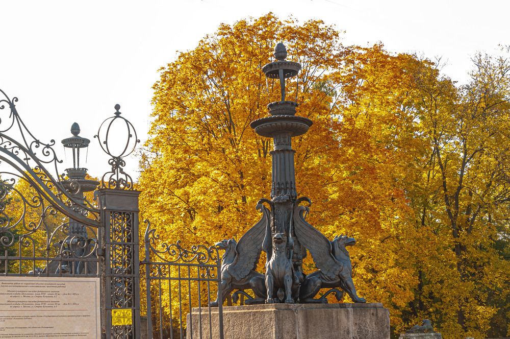 Photograph by Vladimir  Komarov