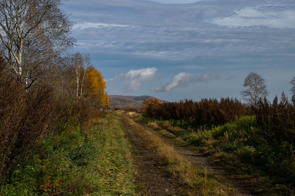 Photograph by Ольга Одинцова