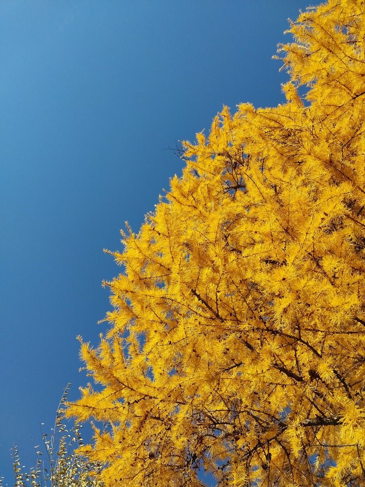 Photograph by Юлия Фирман