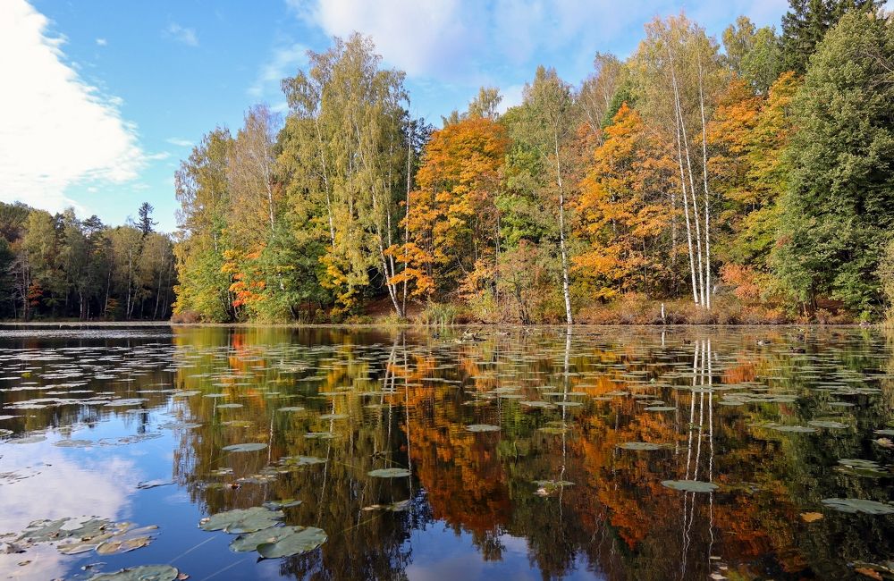 Photograph by Сергей Иванов