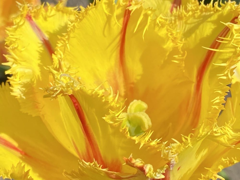 Photograph by Ольга Шабалина