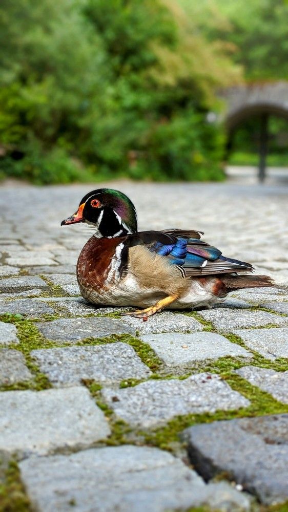 Photograph by Anastasiia