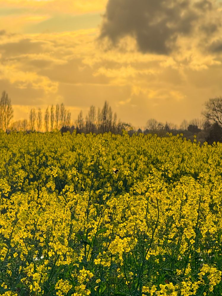 Photograph by Аlina BRAZIUL