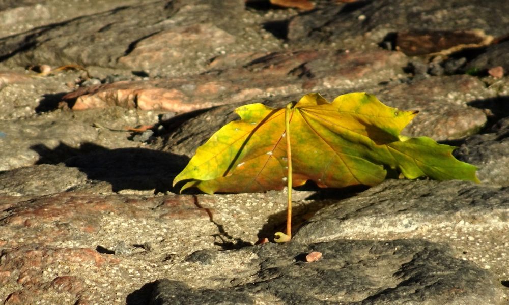 Photograph by Елизавета