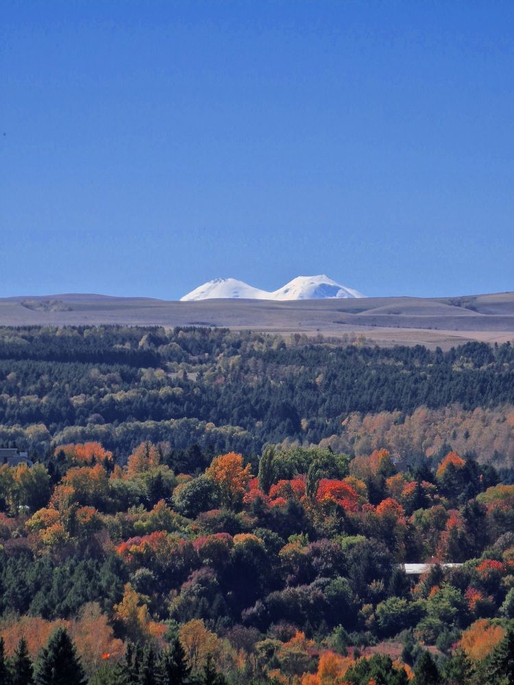 Photograph by Полина Галянина