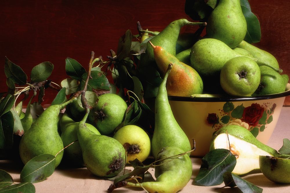 Фотография автора Constantine Che