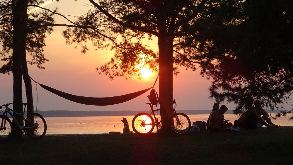 Photograph by Елизавета