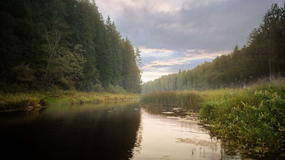 Photograph by Кирилл Черников