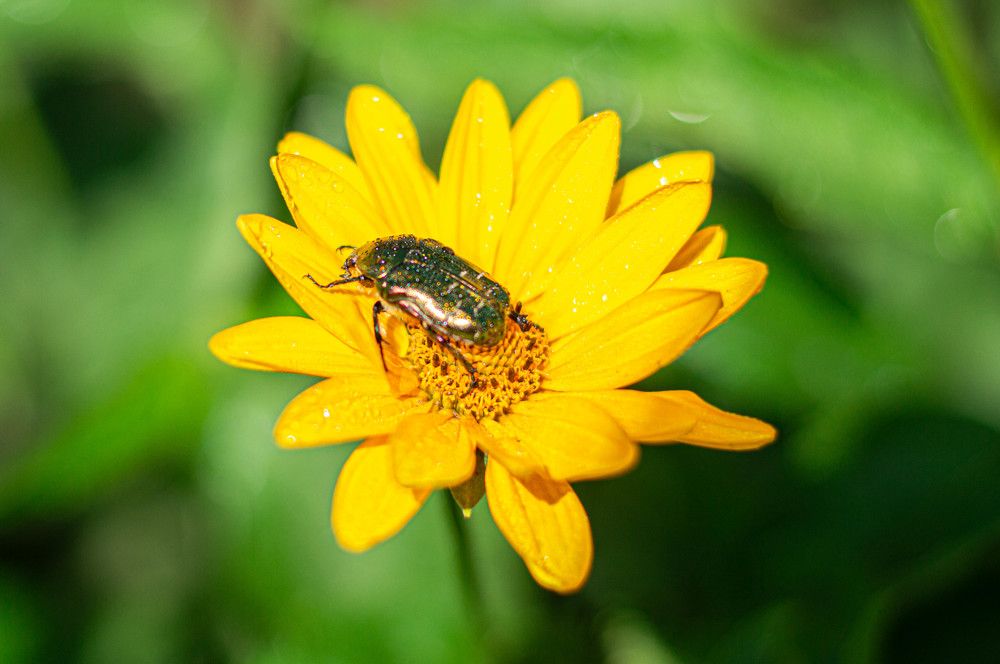 Photograph by Ангелина Ларина