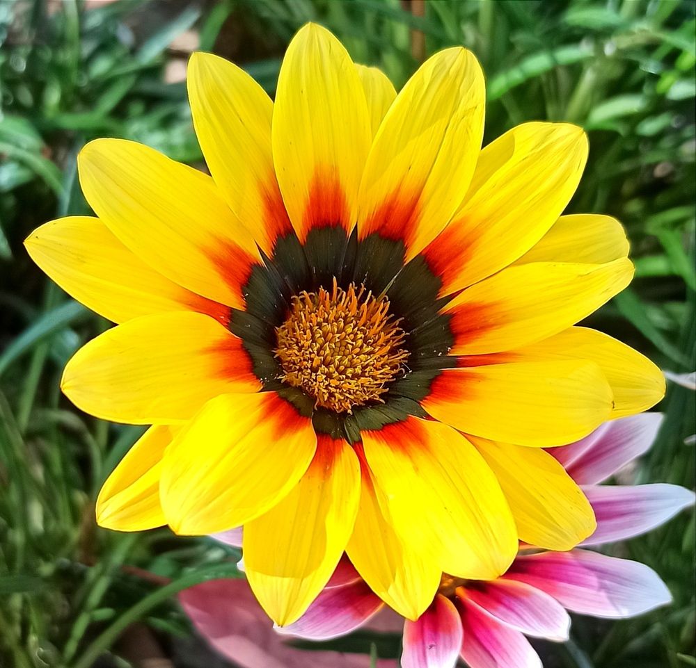 Photograph by Ольга Тихонова