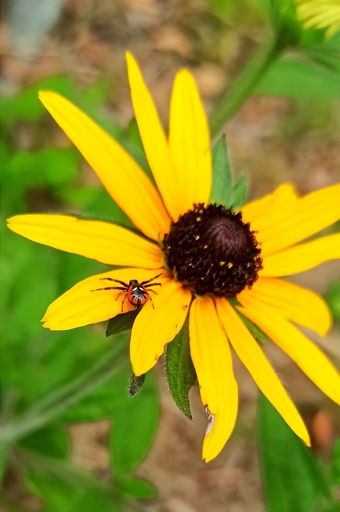 Photograph by Ольга Тихонова