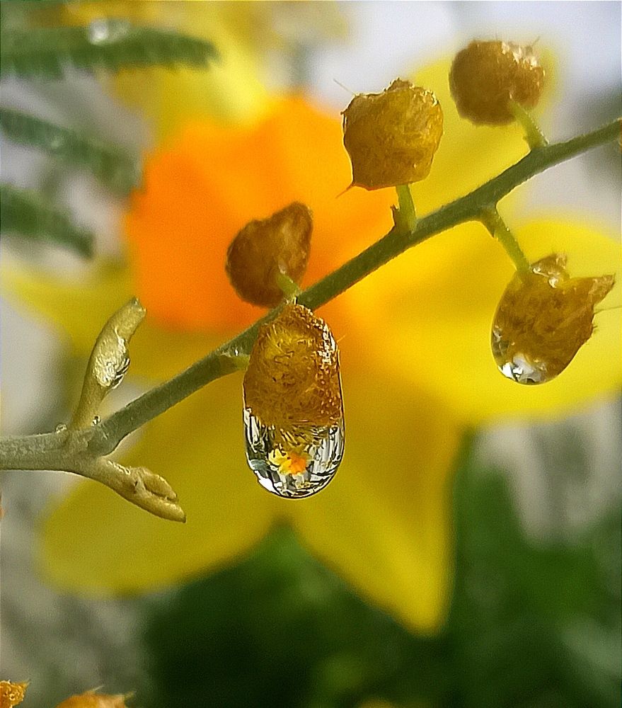 Photograph by Ольга Тихонова