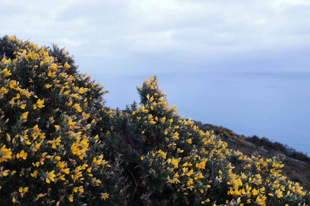 Photograph by Iryna Shyshkina