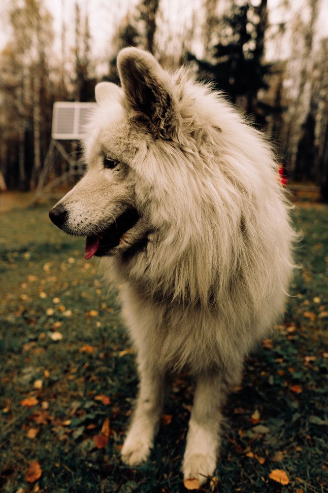 Photograph by Иван Кривоносов