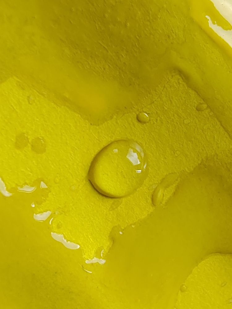 Фотография автора Татьяна Егорова