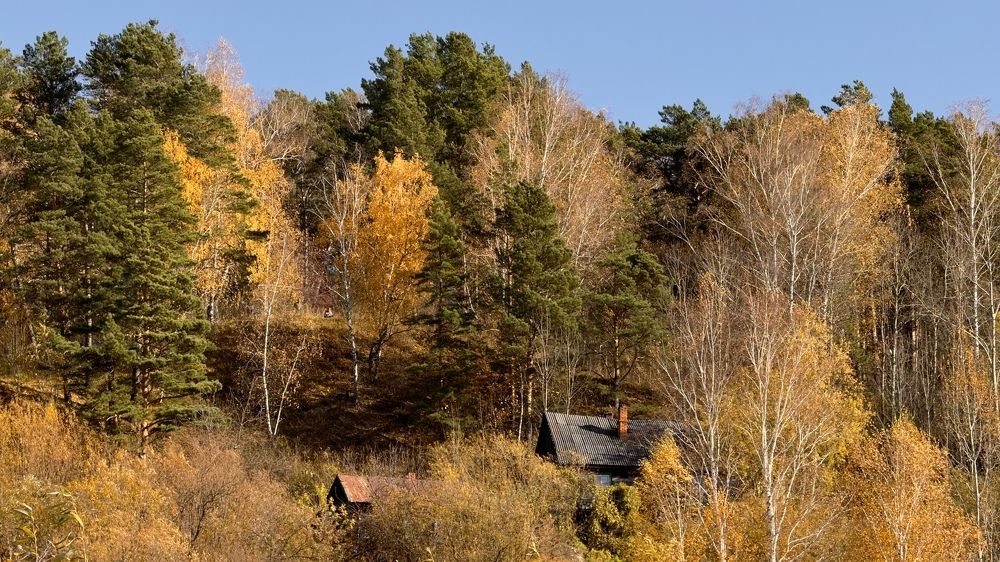 Photograph by Дмитрий Бобровский