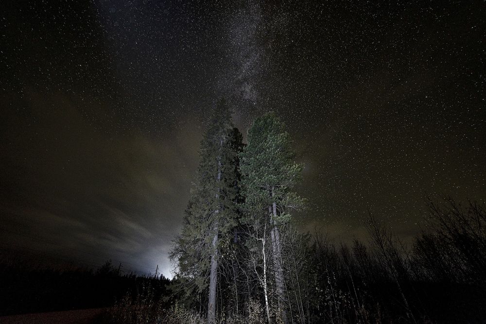 Photograph by Андрей Городецкий