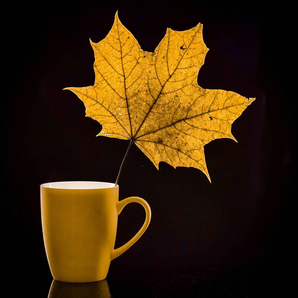 Photograph by Aleksandr Belov