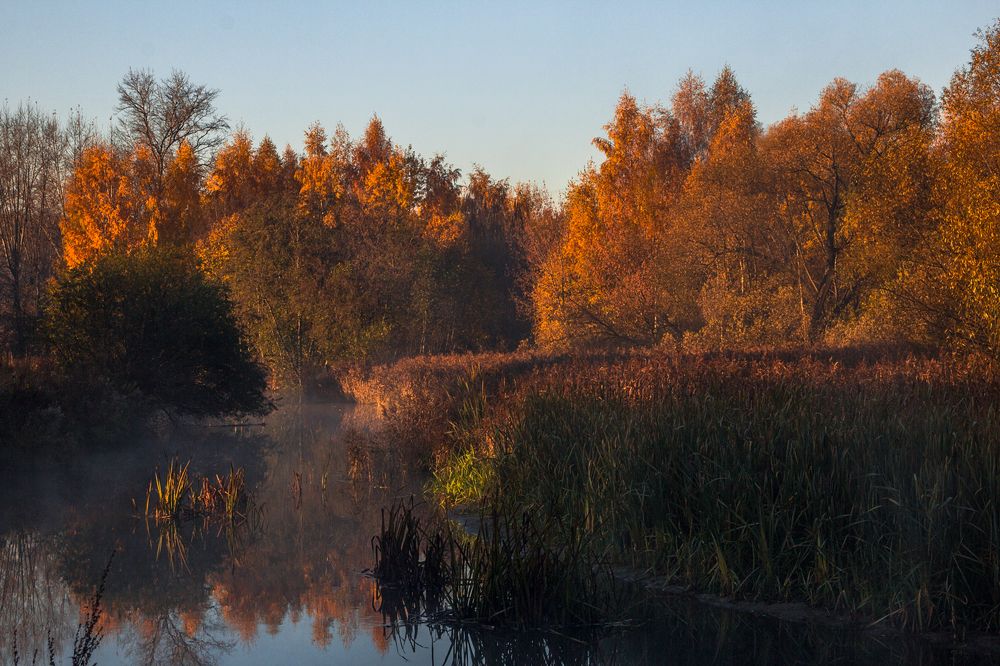 Photograph by Сергей Алексеев