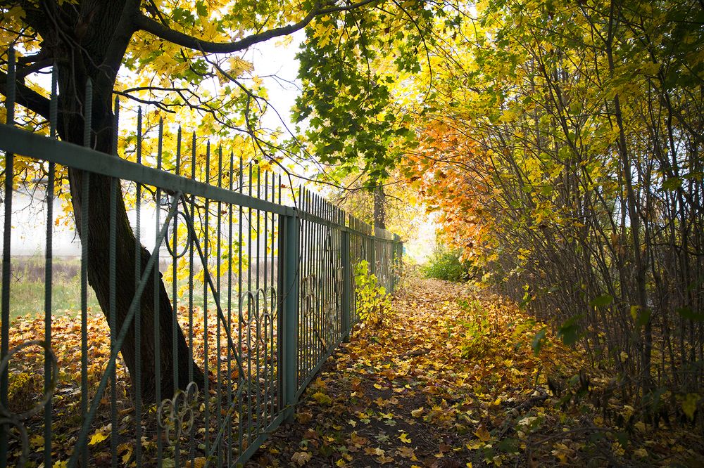 Photograph by Борис Назаров