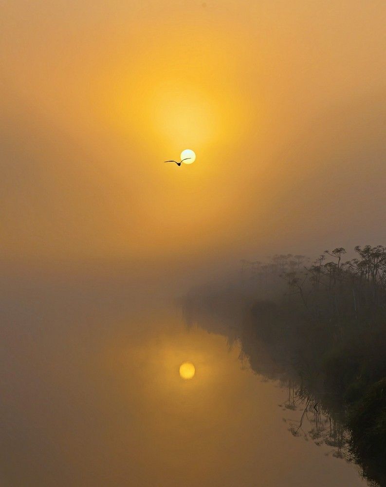 Отражение 2