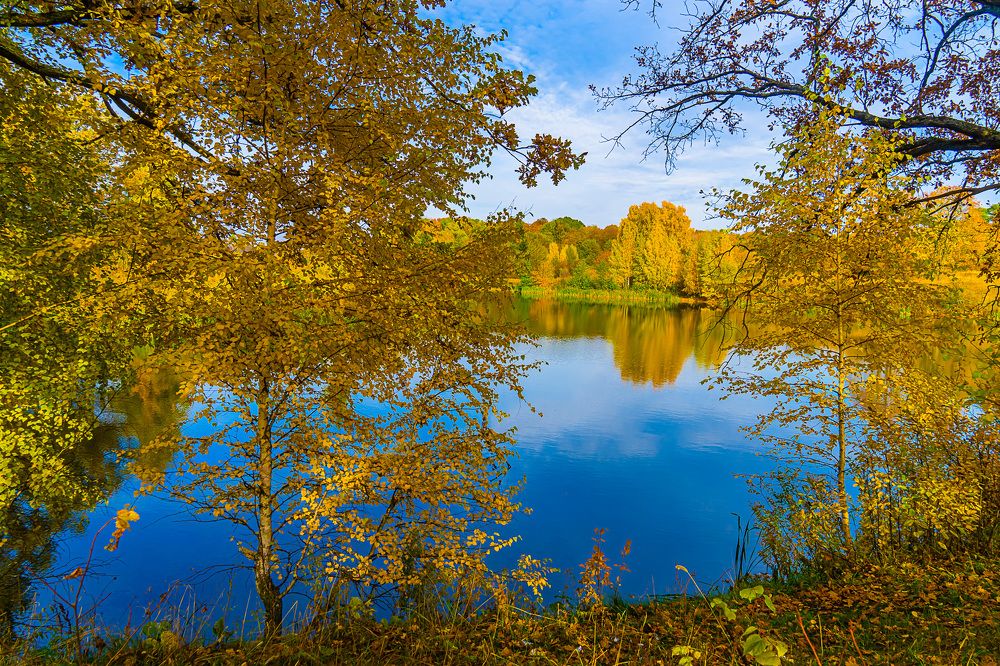 Фотография автора Николай Бологов