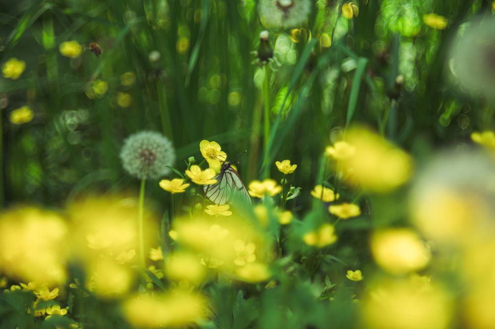 Photograph by Галина Патрушева