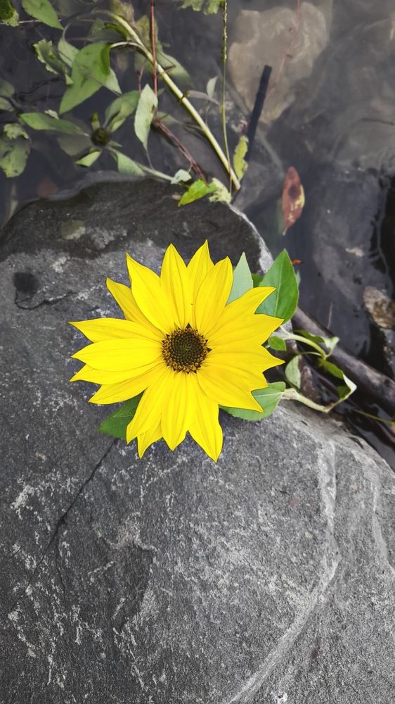 Фотография автора Анна Морозова