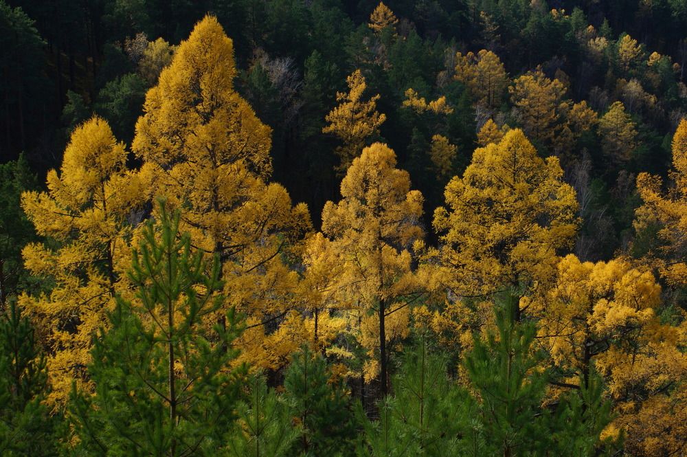 Photograph by Владимир Семиченко