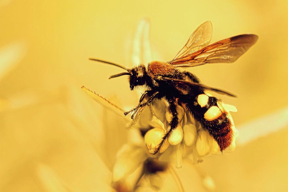 Photograph by Андрей Халемонец