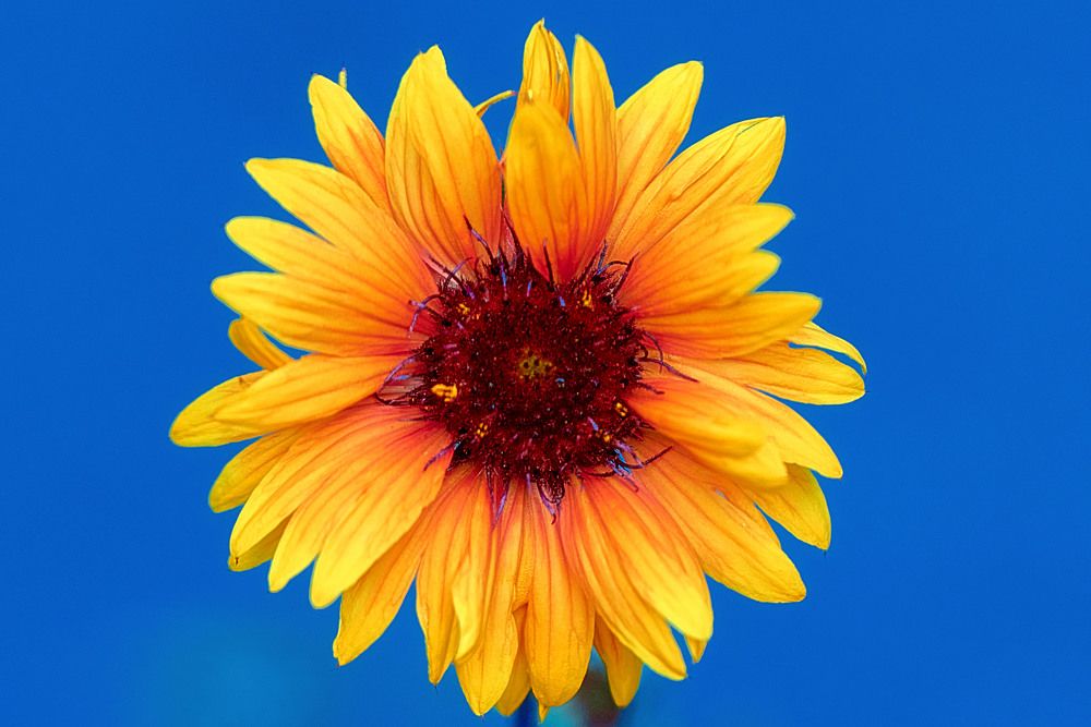 Photograph by Андрей Халемонец