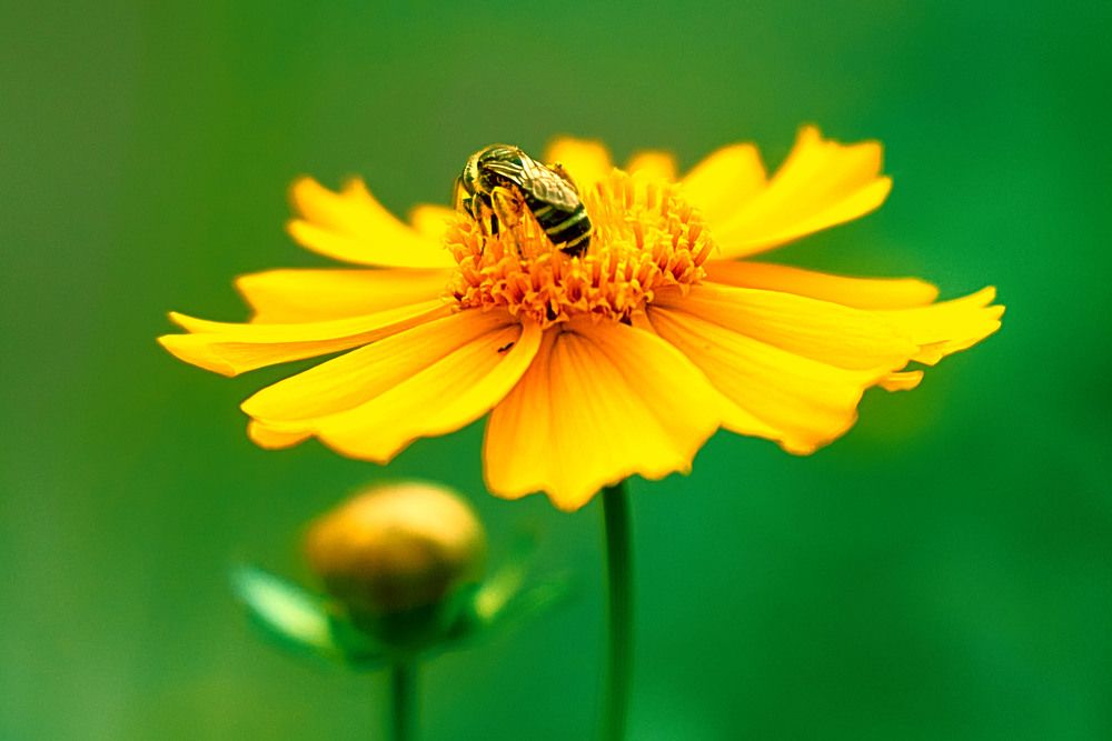 Photograph by Андрей Халемонец