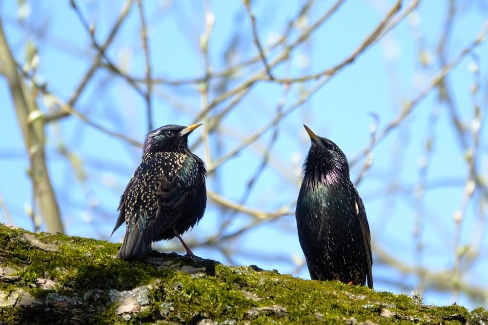 Photograph by jelena konickaja