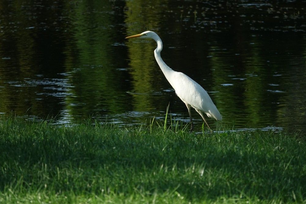 Photograph by jelena konickaja