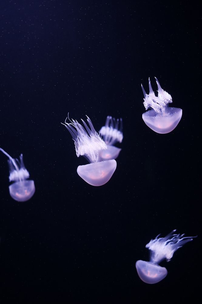 Photograph by Yanina Bykouskaya