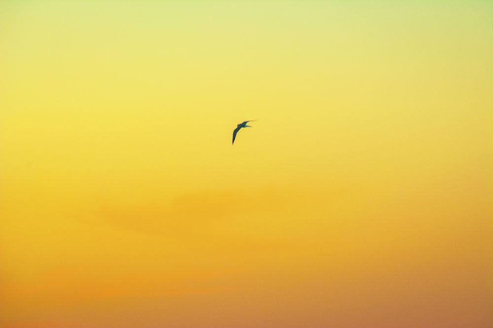 Photograph by Марина Канавченко