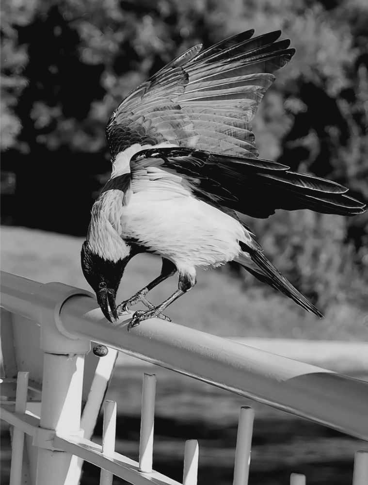 Photograph by Татьяна Слесарева