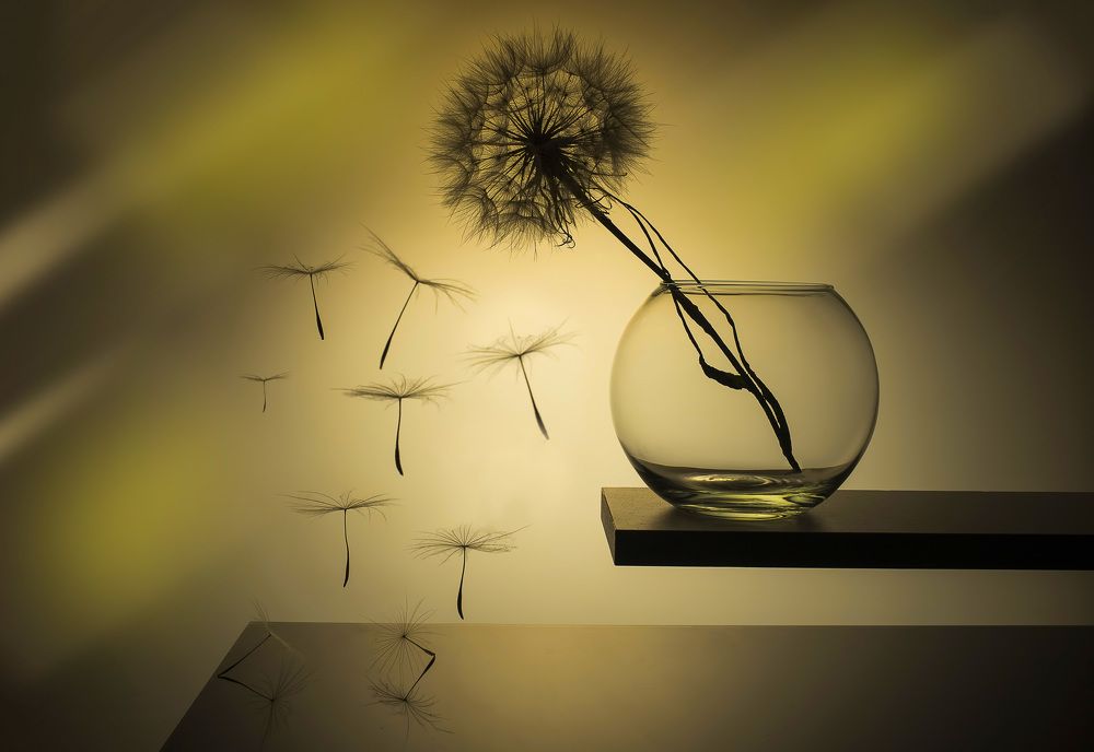 Photograph by Евгений Попов