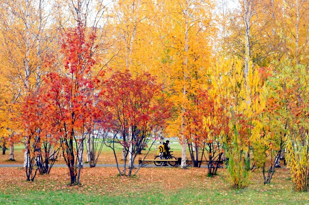 Photograph by Александр Никонофф