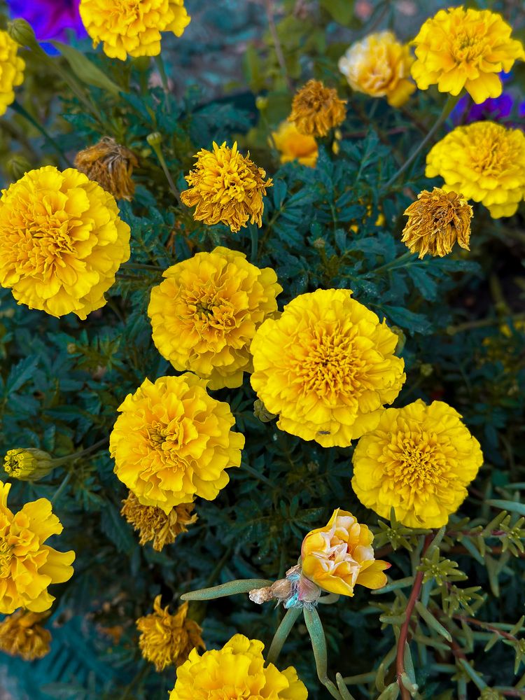 Photograph by Алёна Стародубцева