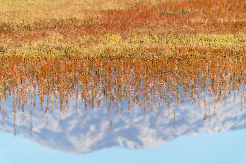 Осеннее отражение