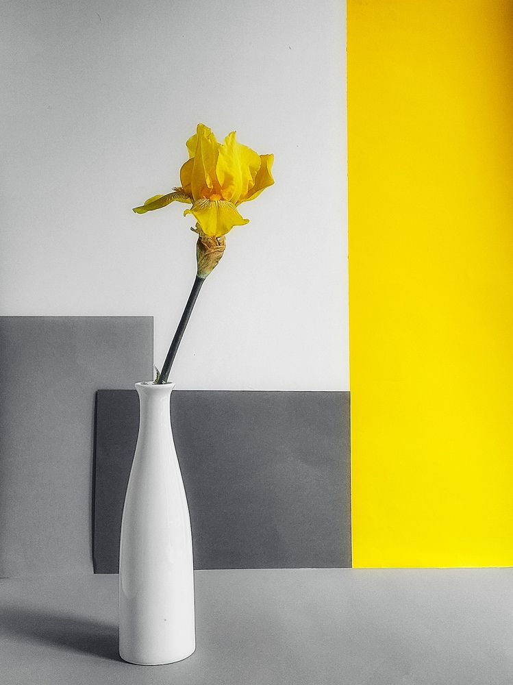 Photograph by Наталия Дроздова