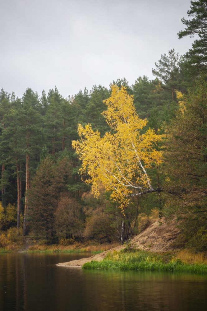 Photograph by Leanid Kulpo