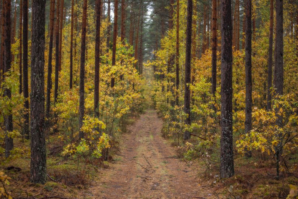 Photograph by Leanid Kulpo