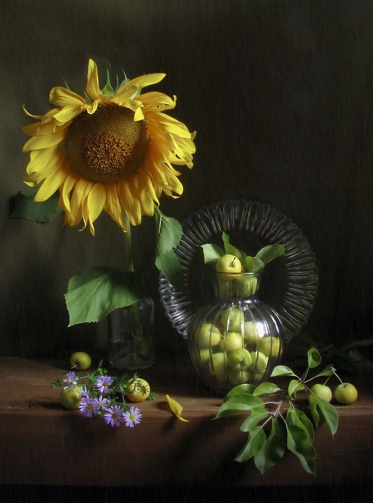 Photograph by Татьяна Ким-Попова