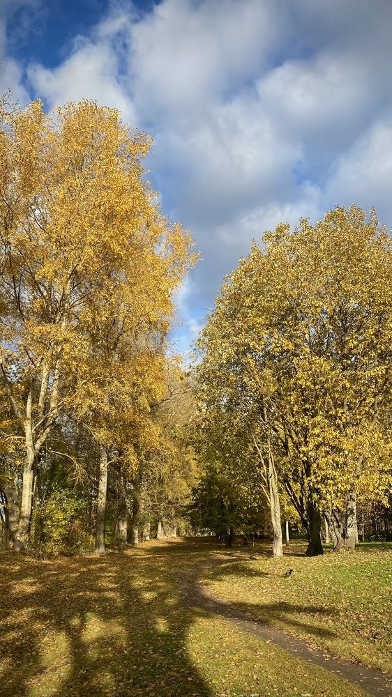 Photograph by Наталья Ситова