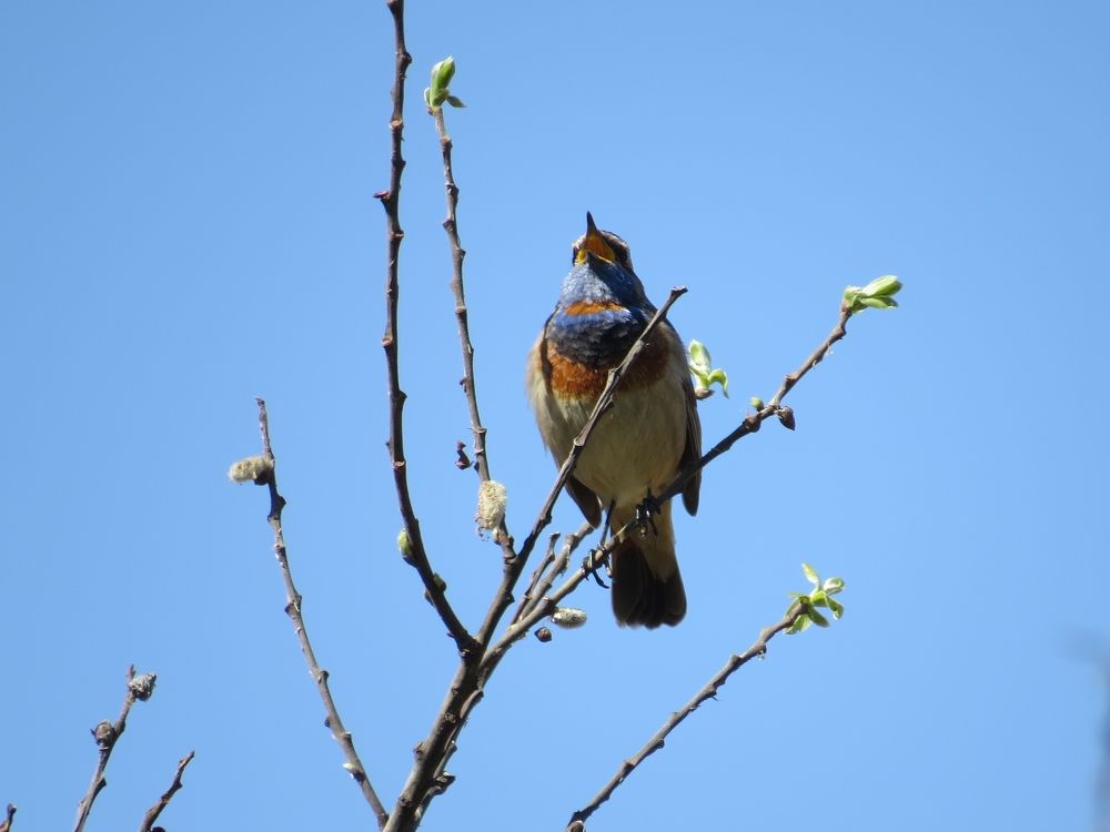 Photograph by Оксана Малахова