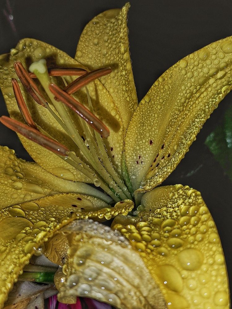 Photograph by Оксана Юдина